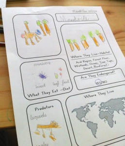 Taxonomy Day - Little Conkers