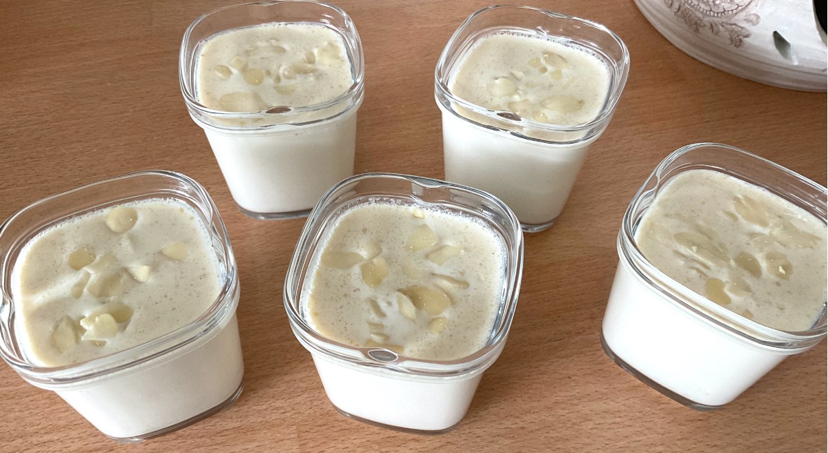 Homemade Almond Yoghurts